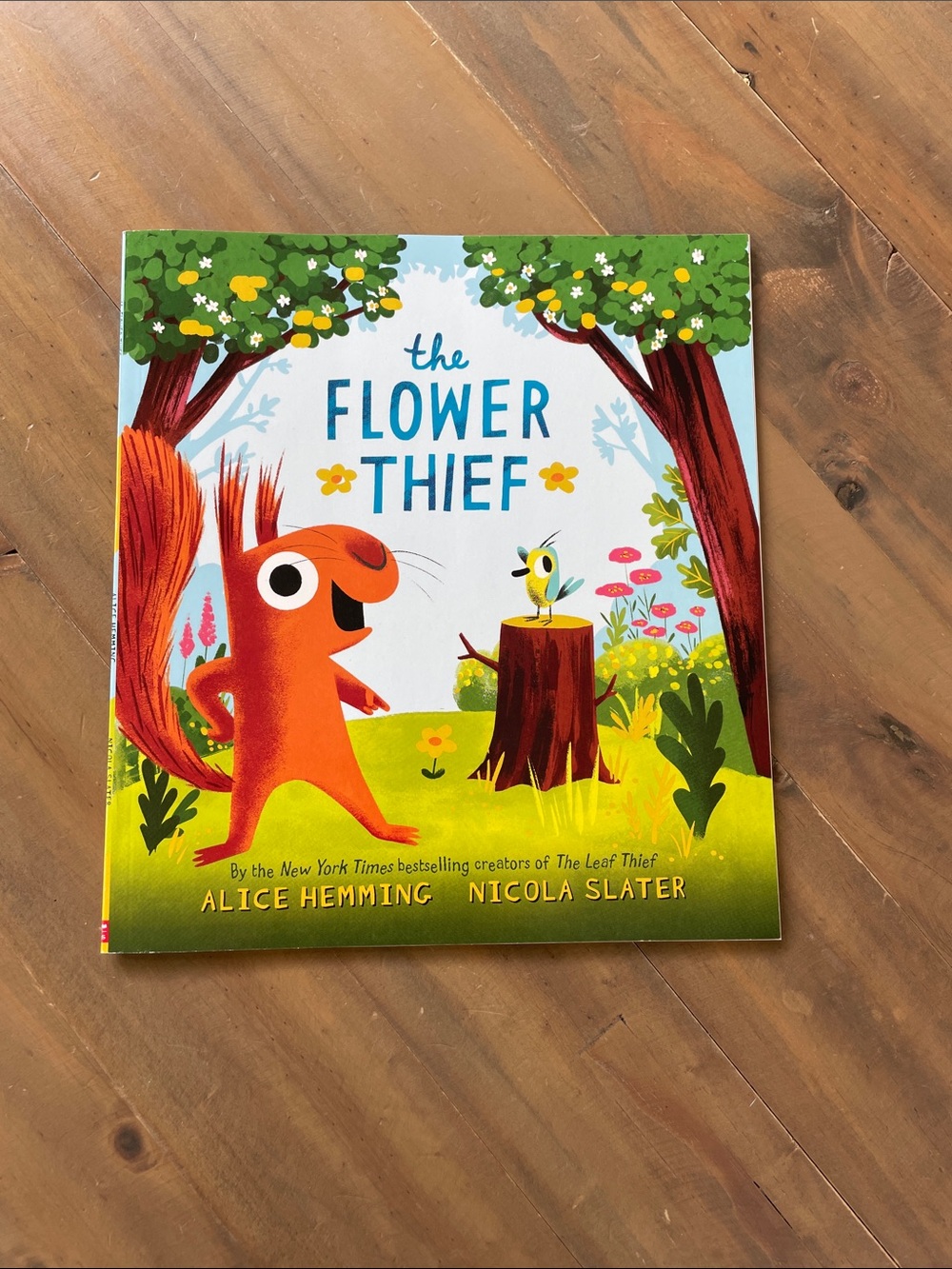 The Flower Thief - Children's Picture Book